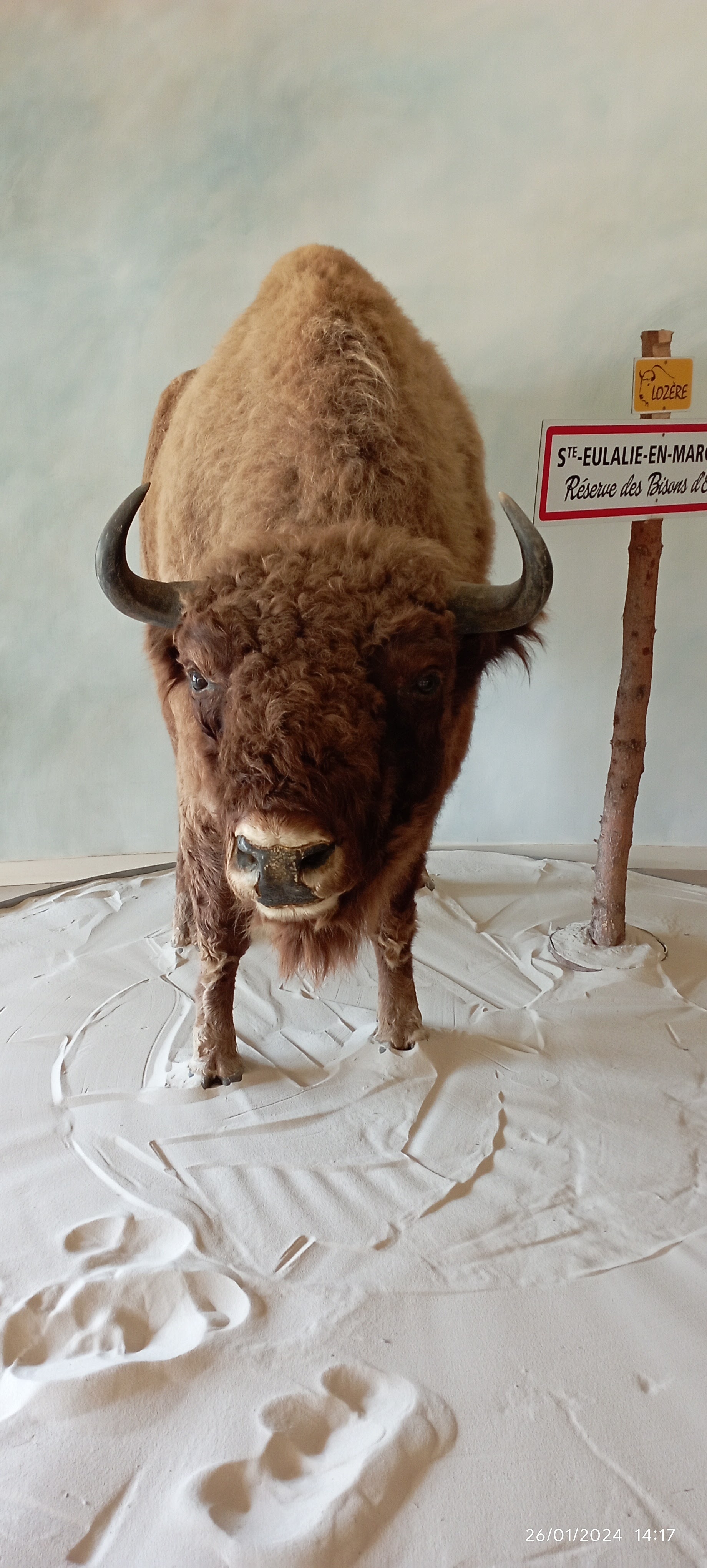 Photo n° 2 de l'avis de Sébastien.� fait le 01/02/2024 à 21:56