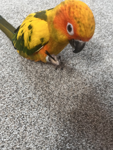 Pet Supply Store «Petco Animal Supplies», reviews and photos, 300 Quaker Ln #3, Warwick, RI 02886, USA