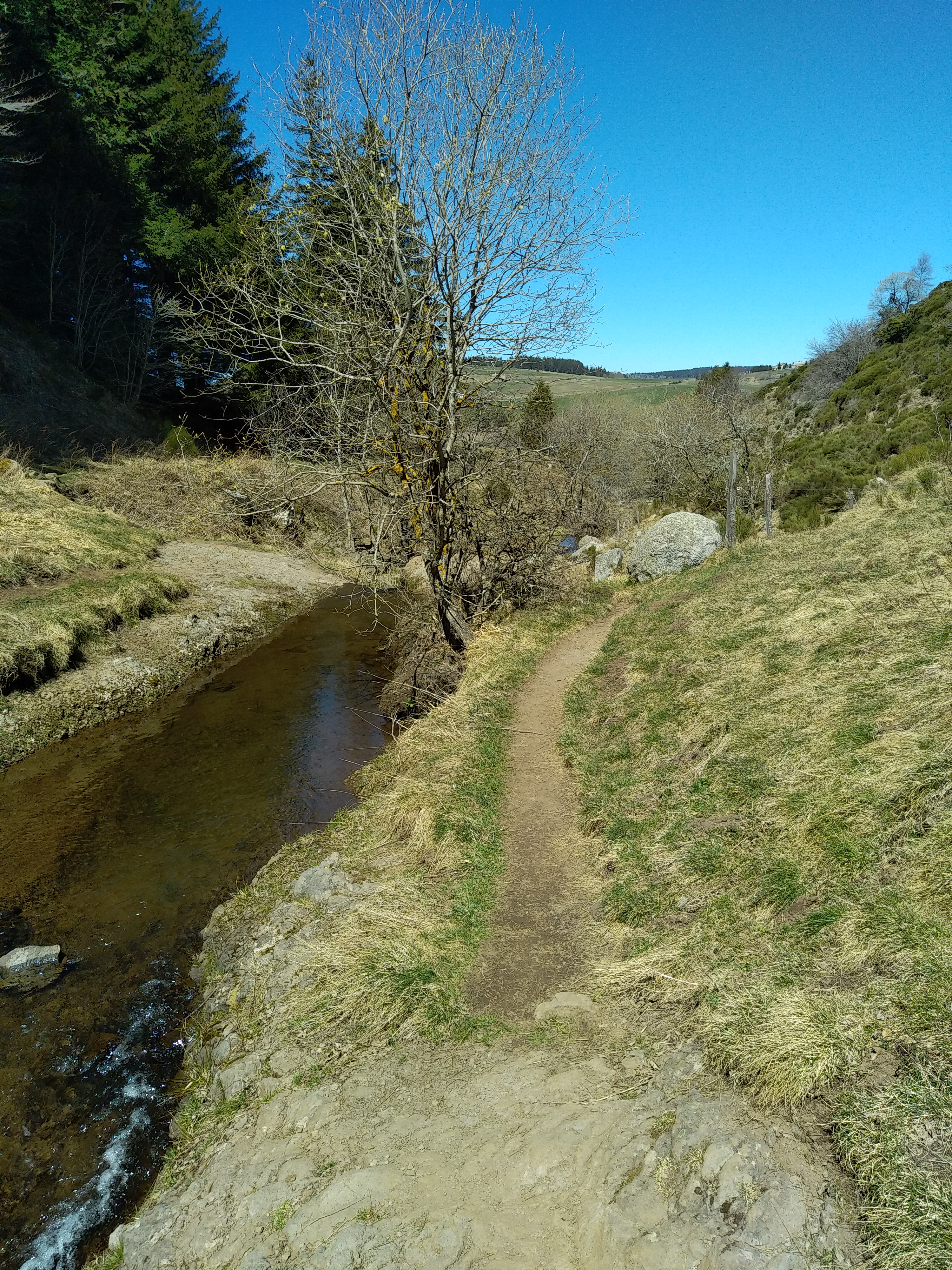 Photo n° 5 de l'avis de Julien.a fait le 17/04/2022 à 17:15