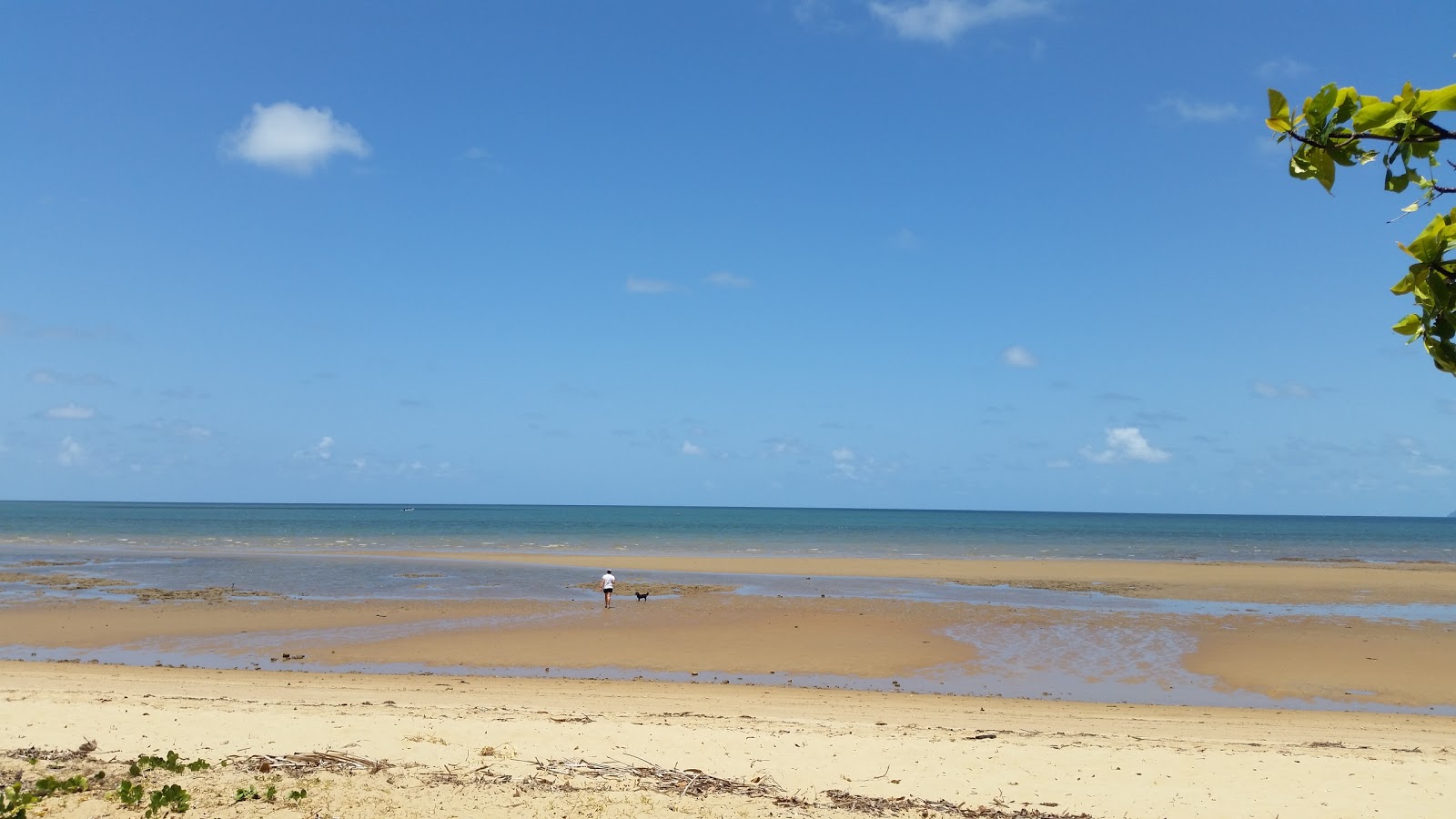Kurrimine Beach的照片 带有碧绿色纯水表面