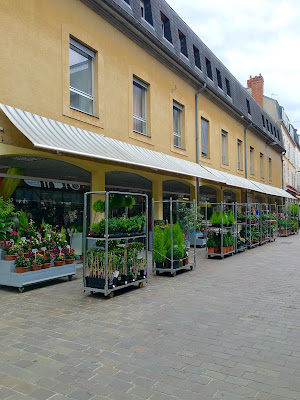 Cagnes Fleurs à Moulins