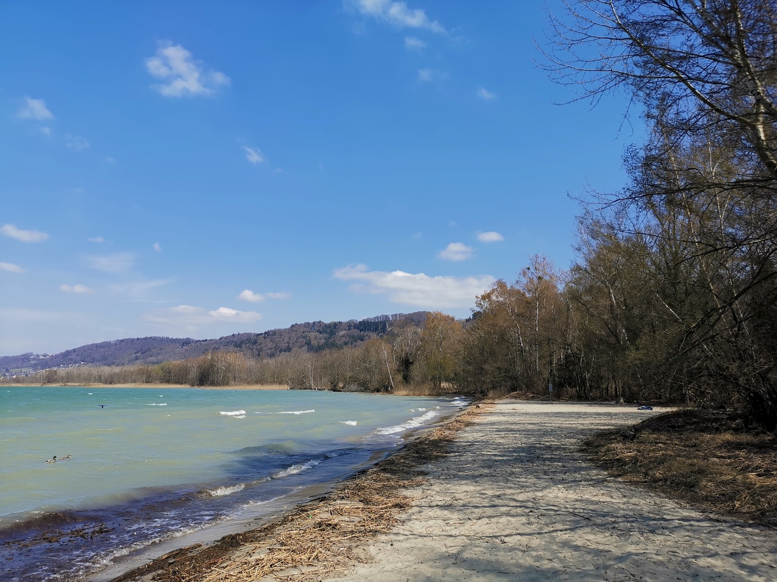 Plage de la Petite Amerique photo #7