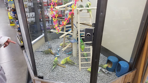 Pet Supply Store «Petco Animal Supplies», reviews and photos, 6557 N Riverside Dr, Fresno, CA 93722, USA