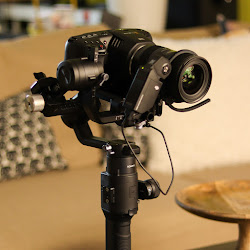 Octopus Production Hungary