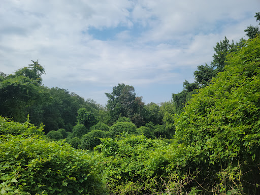 Fort Dupont Park