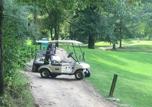 Golf Course «Pine Hills Golf Course», reviews and photos, 6603 Woodbury Rd, Laingsburg, MI 48848, USA