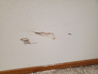 Packer Boy Estate and Downsizing Service - Photo 3 - Car repair in Green Bay, WI, Green Bay