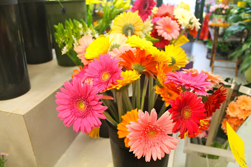 Florist «Central Square Florist», reviews and photos, 653 Massachusetts Ave, Cambridge, MA 02139, USA