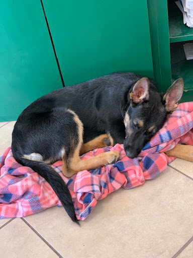 Auto Body Shop «Fine Line Auto Body-Lewis Center», reviews and photos, 8595 N High St, Columbus, OH 43235, USA