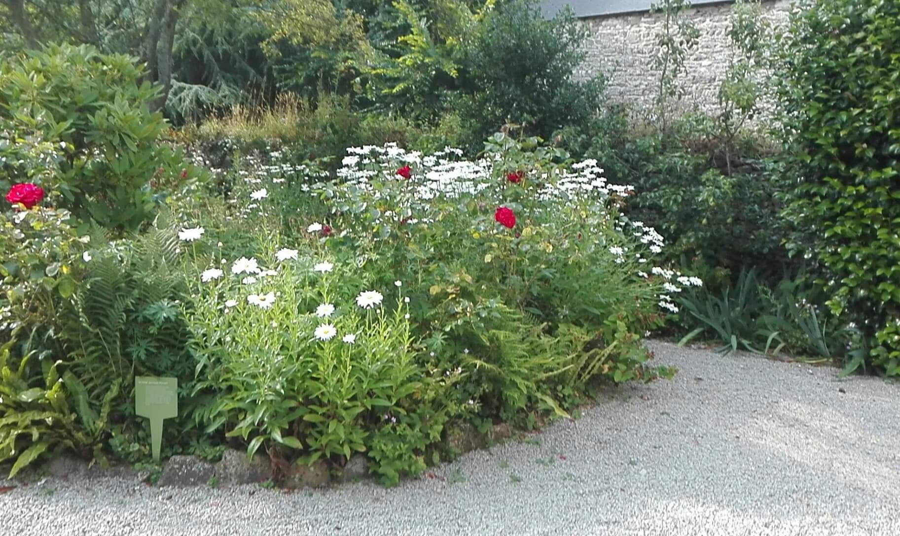 Photo n° 4 de l'avis de Nad.n fait le 23/07/2019 à 17:07