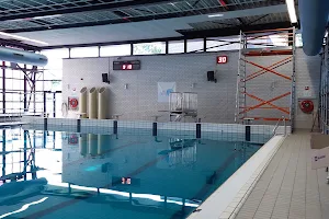 Zwembad Reeshof image