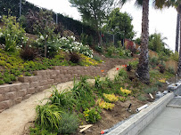 Lytle Landscape Construction - Photo 4 - Car repair in , Mission Viejo