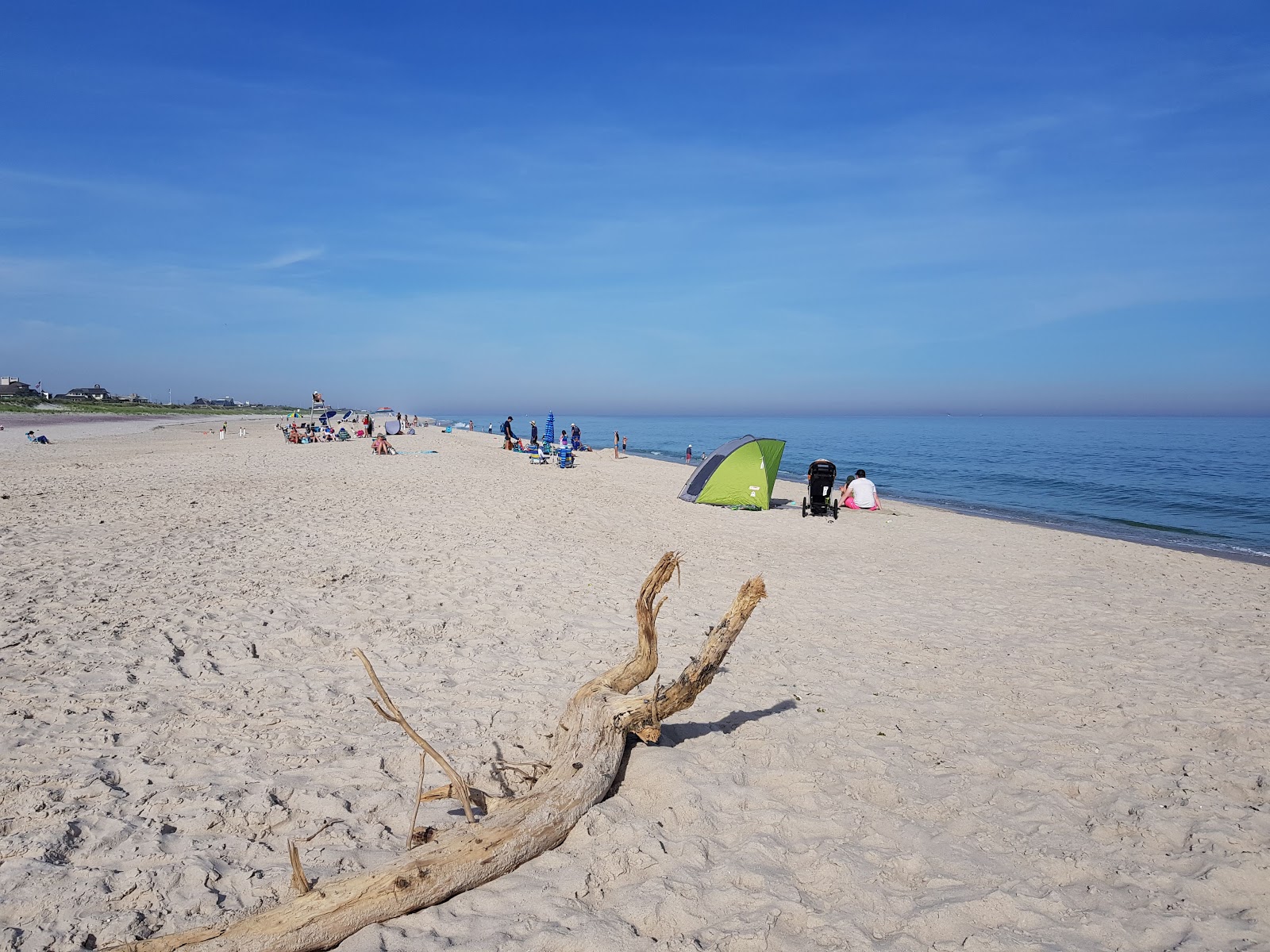 Foto av Rogers Beach strandortområde