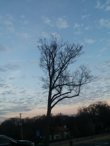 Cultural Center «Clifton Cultural Arts Center», reviews and photos, 3711 Clifton Ave, Cincinnati, OH 45220, USA