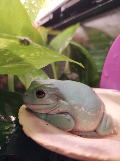 Pet Supply Store «Petco Animal Supplies», reviews and photos, 178 Township Blvd, Camillus, NY 13031, USA