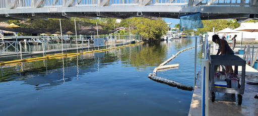 Recreation «Dolphins Plus Oceanside», reviews and photos, 31 Corinne Pl, Key Largo, FL 33037, USA