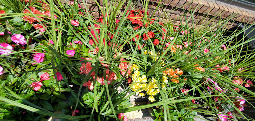 Grocery Store «Stop & Shop», reviews and photos, 420 White Plains Rd, Eastchester, NY 10709, USA