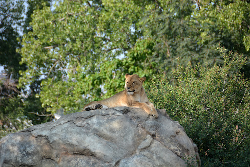 History Museum «History Colorado Center», reviews and photos, 1200 Broadway, Denver, CO 80203, USA