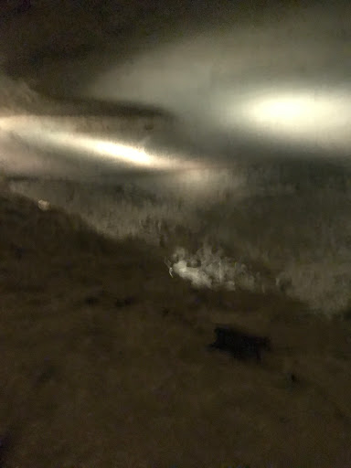 Cave «Bluegrass Underground», reviews and photos, 1437 Cumberland Caverns Rd, McMinnville, TN 37110, USA