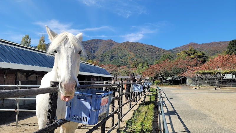 郡山石筵（いしむしろ）ふれあい牧場（郡山市観光交流振興公社畜産振興事務所）