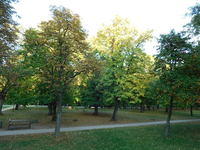 Park, lakatfa, játszótér, sporttér - Szórakozóhely