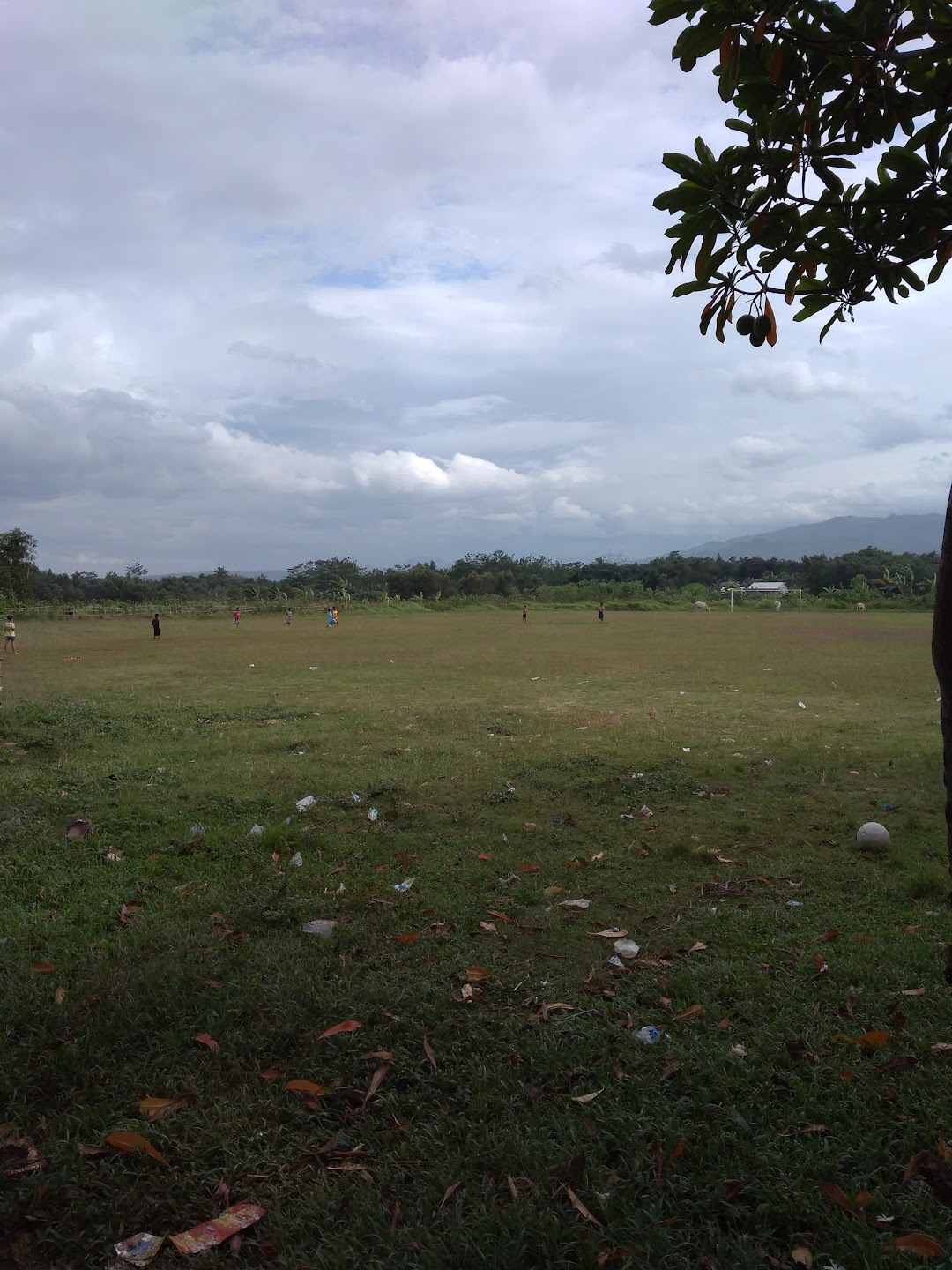 Lapangan Sepak Bola Pelita Jaya Fc