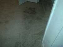HernAlbert Carpet & More - Photo 3 - Car repair in , Cape Coral