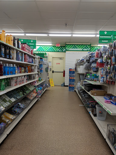 Dollar Store «Dollar Tree», reviews and photos, 542 Center St, Moraga, CA 94556, USA