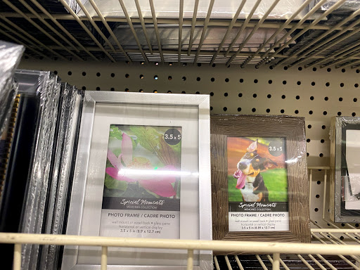 Dollar Store «Dollar Tree», reviews and photos, 131-09 101st Ave, Queens, NY 11419, USA