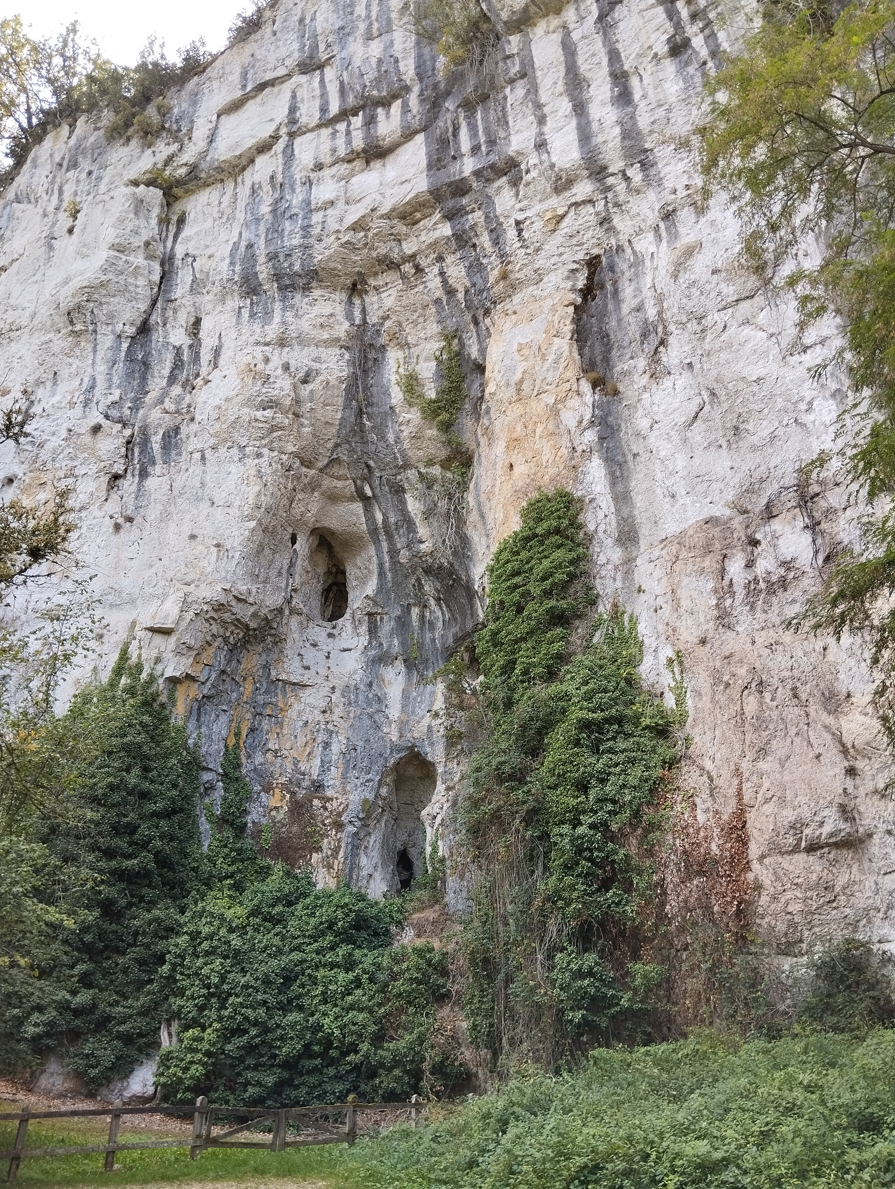 Photo n° 9 de l'avis de laetitia. fait le 30/08/2023 à 14:58