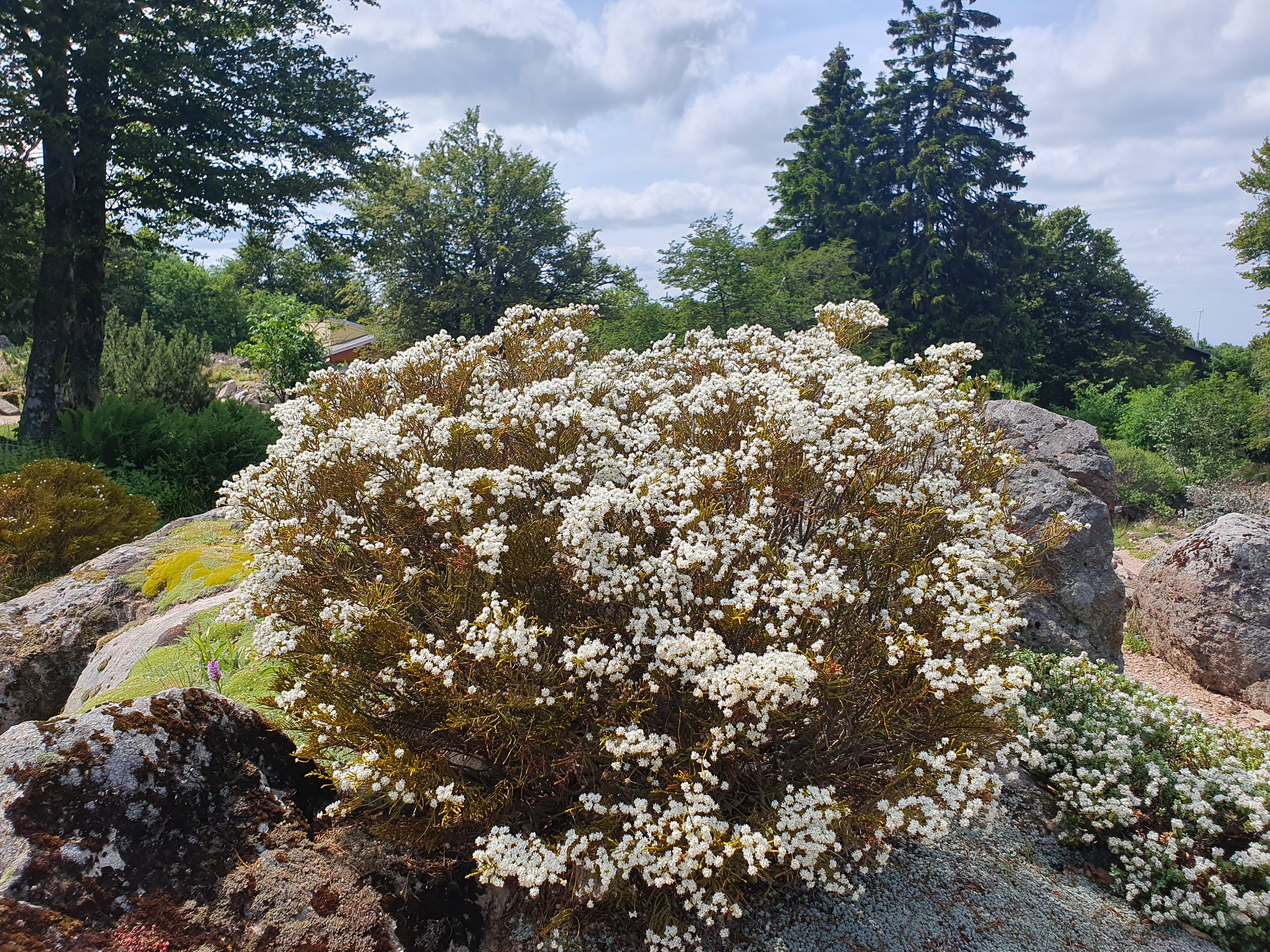 Photo n° 11 de l'avis de SYLVIE.A fait le 29/06/2023 à 20:48