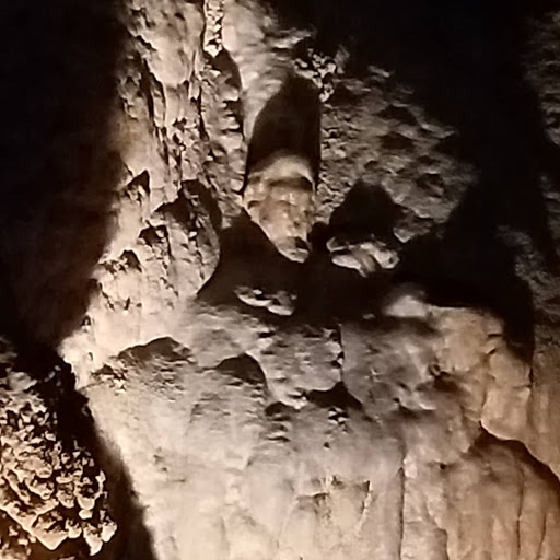 Tourist Attraction «Bristol Caverns», reviews and photos, 1157 Bristol Caverns Hwy, Bristol, TN 37620, USA