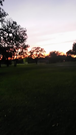 Bonham Park - photo 32