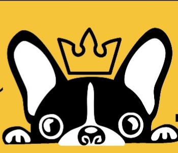 THE KING DOG Peluqueria Canina