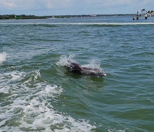 Boat Rental Service «MEGA BITE Tour Boat», reviews and photos, 25 Causeway Blvd, Clearwater Beach, FL 33767, USA