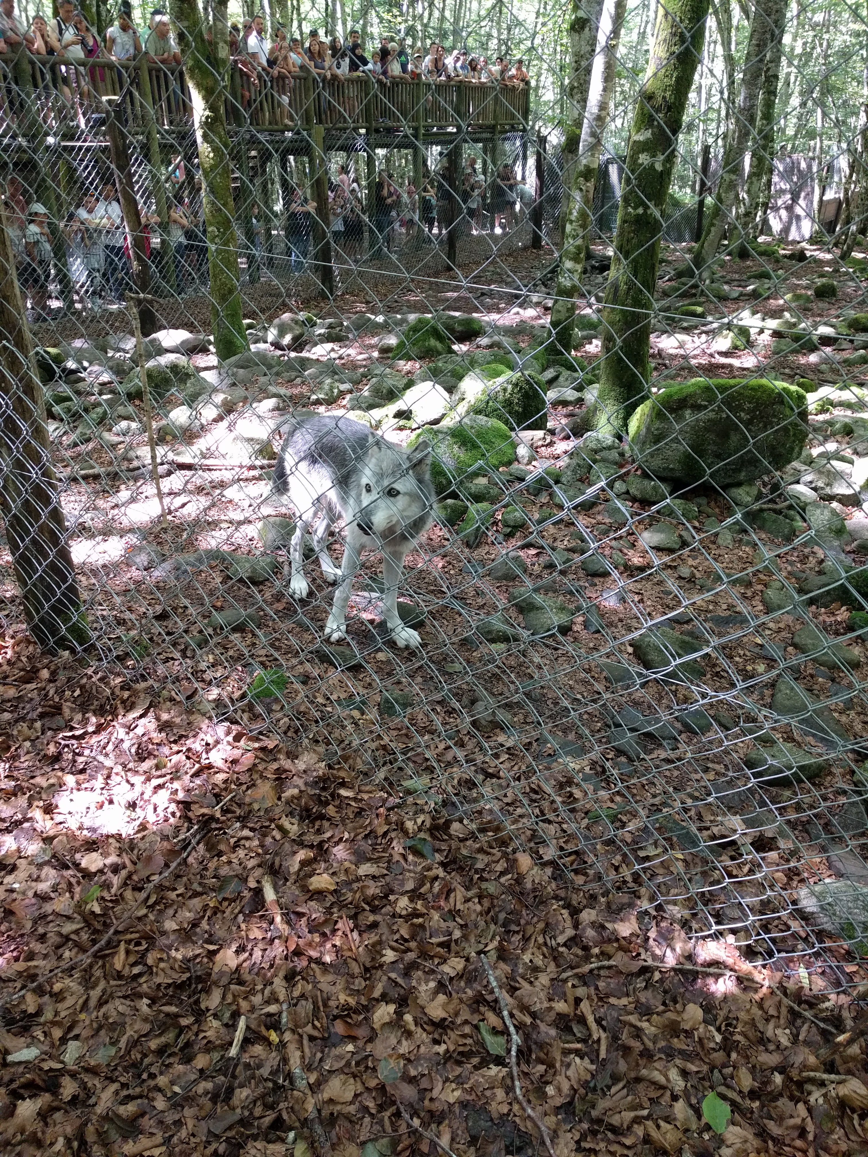 Photo n° 3 de l'avis de Stéphane.e fait le 10/08/2017 à 06:38