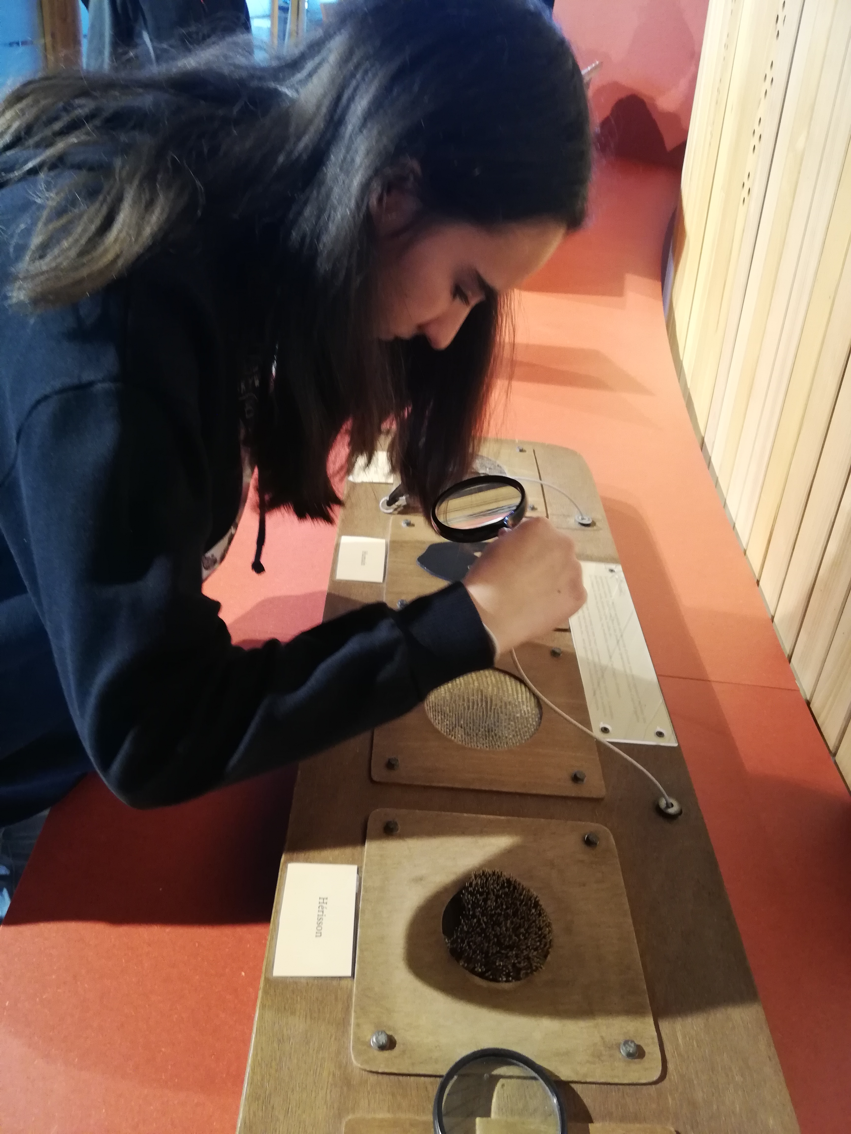 Photo n° 2 de l'avis de Stephane.O fait le 27/11/2022 à 22:34