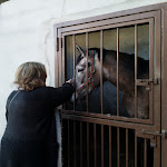 Photo n°2 de l'avis de Mário.e fait le 01/03/2019 à 19:07 sur le  Coudelaria Residence à Mata Mourisca