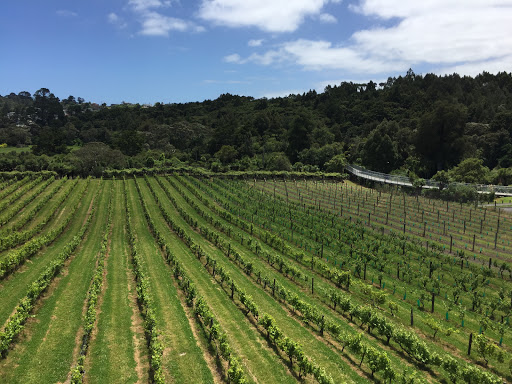 Fino Valley Wines New Zealand