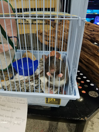 Pet Store «Pet Land», reviews and photos, 1450 Fort Campbell Blvd, Clarksville, TN 37042, USA