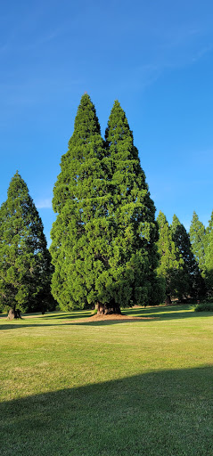 Golf Course «Oak Knoll Golf Course & Driving Range», reviews and photos, 6335 OR-22, Independence, OR 97351, USA