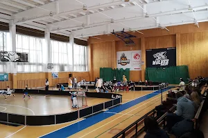 Sports Hall image