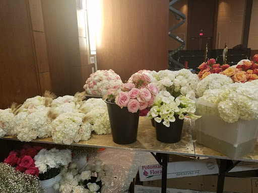 Hotel «Hilton Baltimore», reviews and photos, 401 W Pratt St, Baltimore, MD 21201, USA