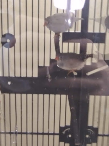 Pet Supply Store «Petco Animal Supplies», reviews and photos, 6720 Fox Centre Pkwy, Gloucester Courthouse, VA 23061, USA