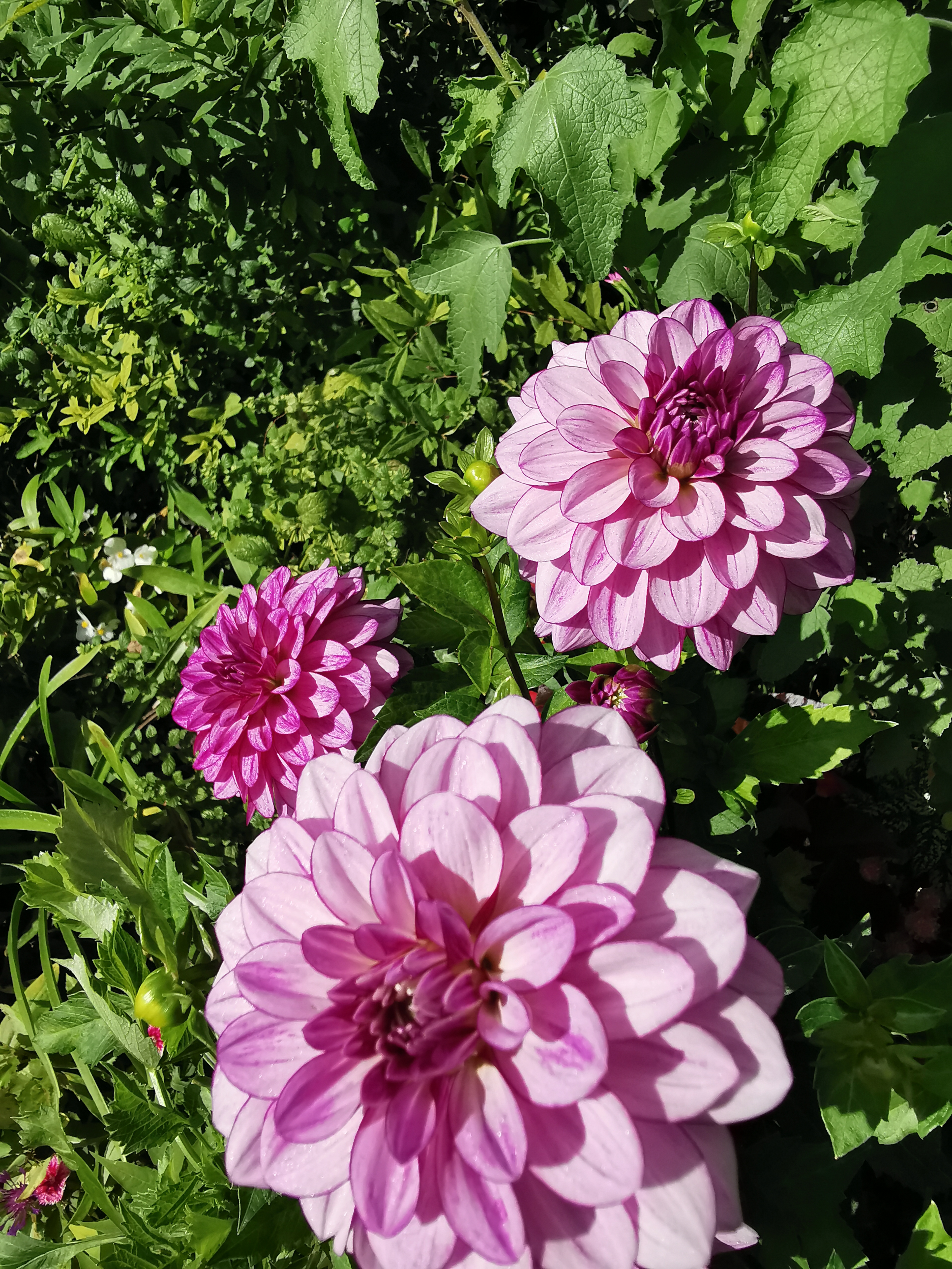 Photo n° 15 de l'avis de Francine.E fait le 27/08/2023 à 20:10