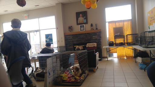 Subaru Dealer «Sharrett Subaru», reviews and photos, 10310 Auto Pl, Hagerstown, MD 21740, USA