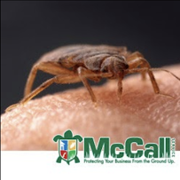 McCall Service - Ocala - Photo 9 - Car repair in Ocala, FL, Ocala