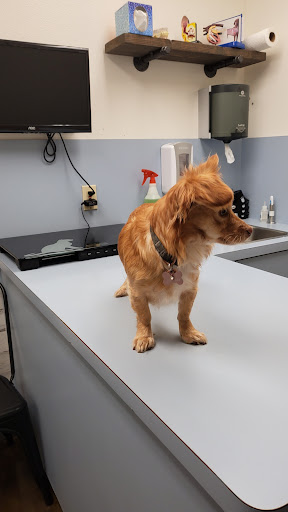 17112 CA-88, Lodi, CA 95240, USA