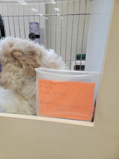 Pet Store «Family Pet Center», reviews and photos, 1401 Greenbrier Pkwy, Chesapeake, VA 23320, USA