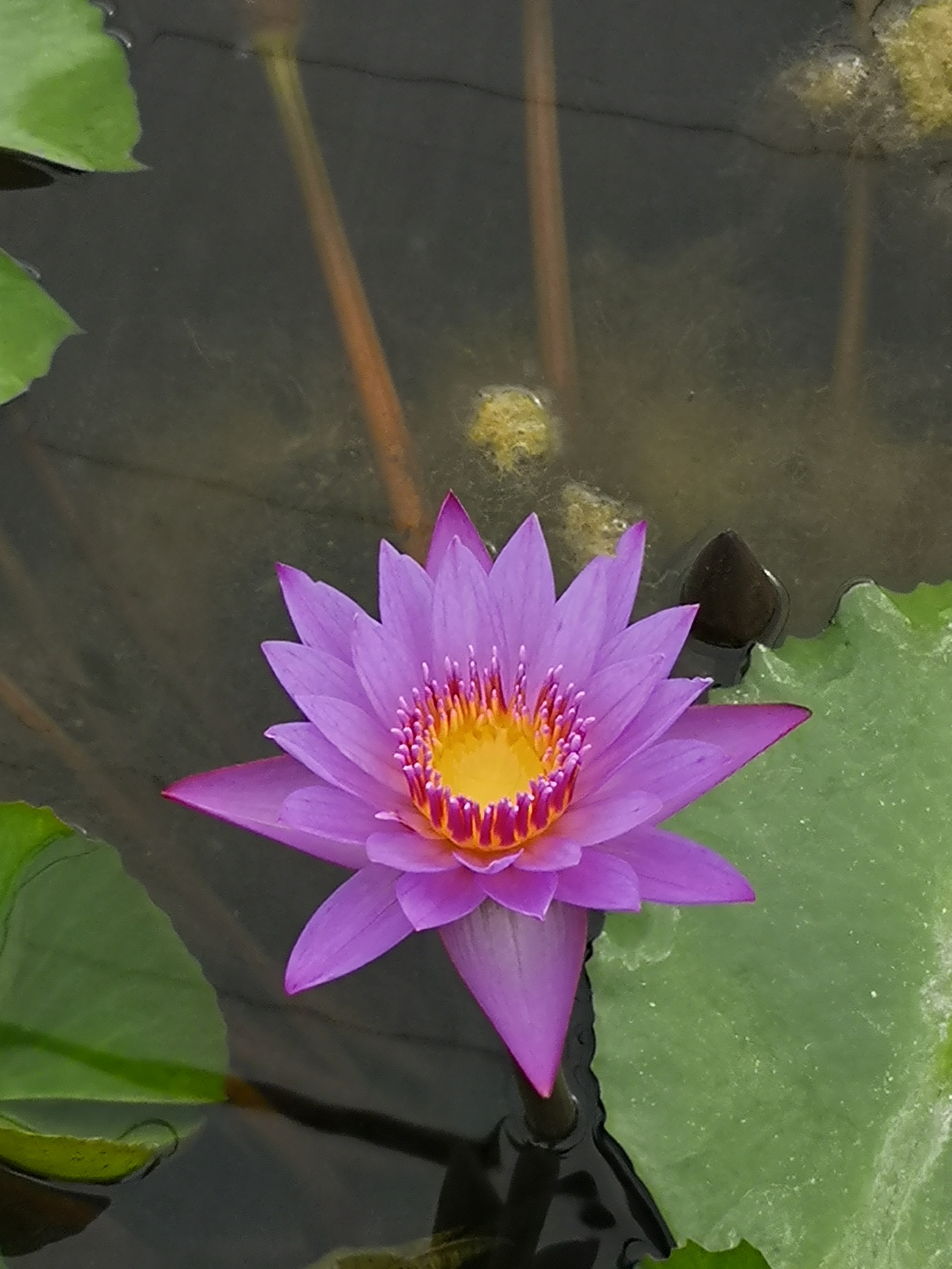 Photo n° 3 de l'avis de Mallory.e fait le 24/08/2020 à 06:08